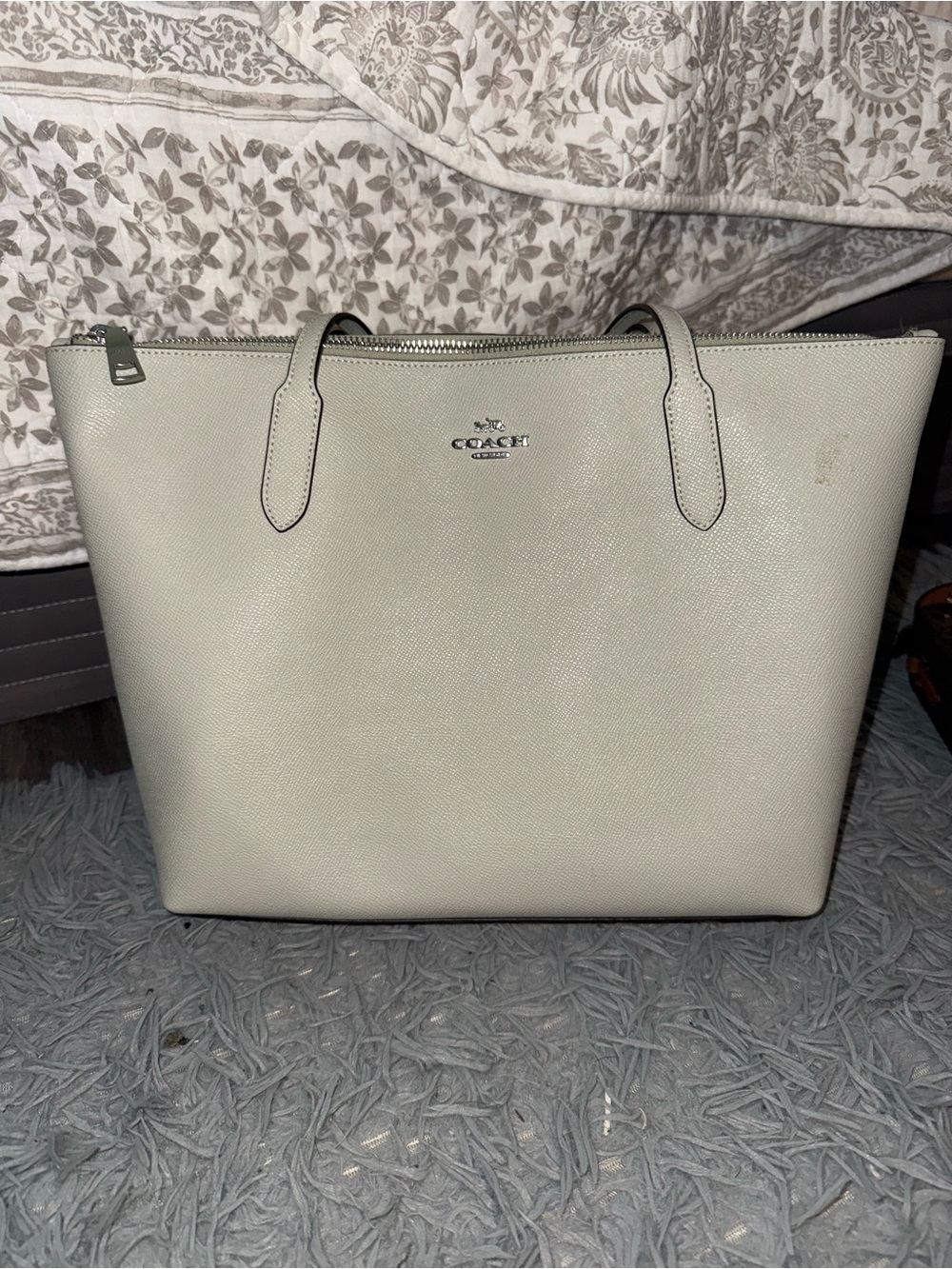 Coach Leather Tote in Light Green